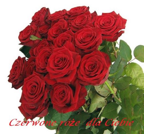 Czerwone róże dla ciebie
